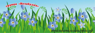 Баннер Незабудка