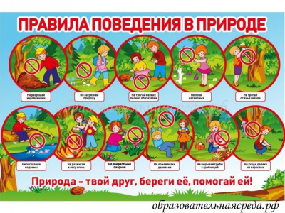 Уличный стенд Правила поведения в природе