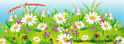 Баннер Ромашка