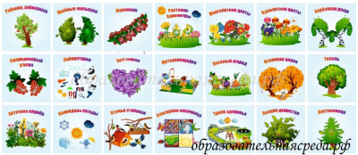 Экологическая тропа