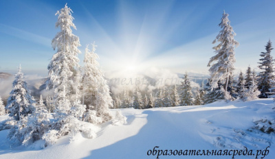 Баннер Зима фото