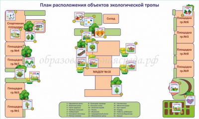 Баннер для экологической тропы