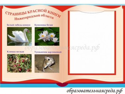 Уличный стенд Страницы красной книги