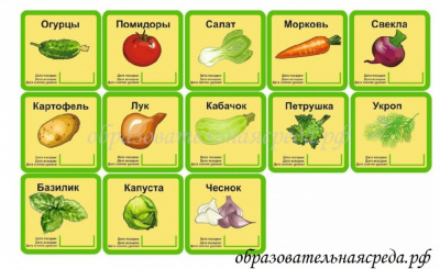 Комплект табличек “Огород” для грядок 13 предметов с датой посадки